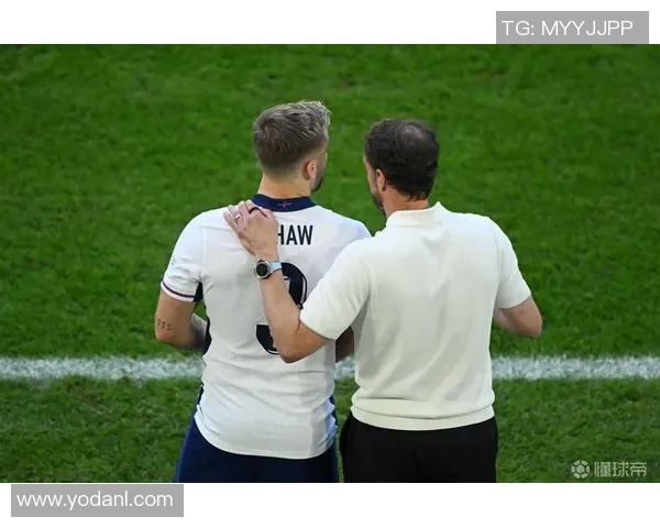 曼联名宿埃尔文：卢克-肖十分合适左中卫，他本赛季太超卓了